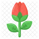 Tulip  Icon