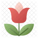 Tulip Flower Blossom Icon