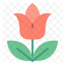 Tulip Flower Blossom Icon
