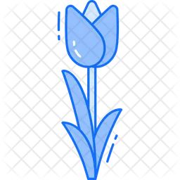 Tulip  Icon