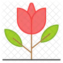 Tulip Flower Floweret Icon