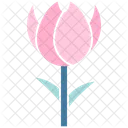 Tulip  Icon