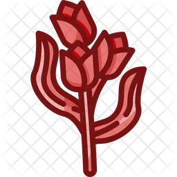 Tulip  Icon