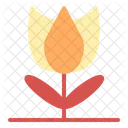 Tulip  Icon