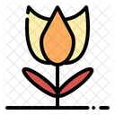 Tulip  Icon