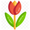 Tulip Celebration Flower Icon