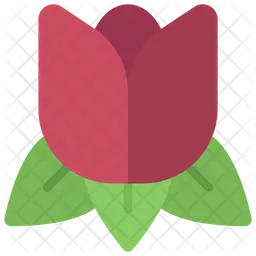 Tulip  Icon