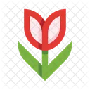 Flower Tulip Nature Icon