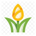 Nature Flower Tulip Icon