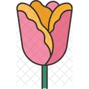 Tulip  Icon