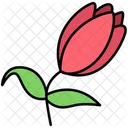 Tulip Floral Flower Icon