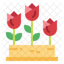 Tulip  Icon