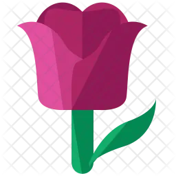 Tulip  Icon