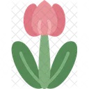 Tulip Flower Easter Icon