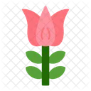 Flower Nature Spring Icon