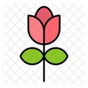 Flower Nature Spring Icon