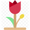 Tulip Plant Blossom Icon