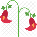 Tulip Flower Gesneriana Icon