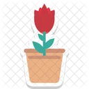 Tulip Bud Tulip Flower Icon