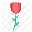 Tulip Bud Tulip Flower Icon