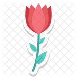 Tulip Bud  Icon