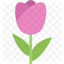 Tulip Ecology Nature Icon