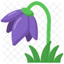 Tulip Flower  Icon