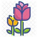 튤립 꽃 식물 자연 정원 봄 시즌 튤립 꽃 튤립 식물 아이콘