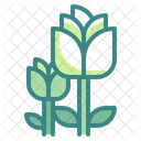 튤립 꽃 튤립 식물 튤립 아이콘