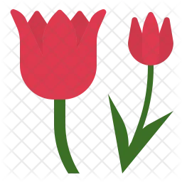 Tulip Flower  Icon