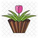 Tulip Flower Flower Tulip Icon
