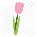 Tullipe Flower Floral Icon