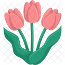 Tulip Flower  Icon