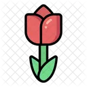 Tulip  Icon