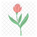 Tulip Flower Nature Icon