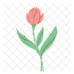 Tulip  Icon