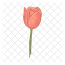 Tulip Icon