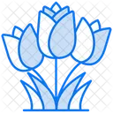 Tulip  Icon