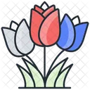 Tulip  Icon