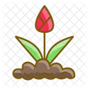 Tulip Icon