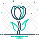 Tulip  Icon