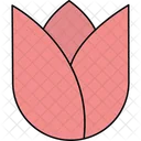 Tulip Spring Bloom Vibrant Petals Icon