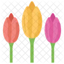 Tulips Flower Nature Icon