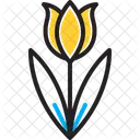 Tulip Spring Blooming Bud Icon