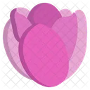 Tulip Flower Flowers Icon