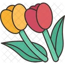 Tulip  Icon