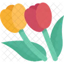 Tulip  Icon