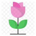 Tulip Icon