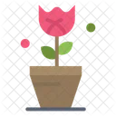 Tulip Plant  Icon