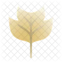 튤립 포플러 잎  아이콘